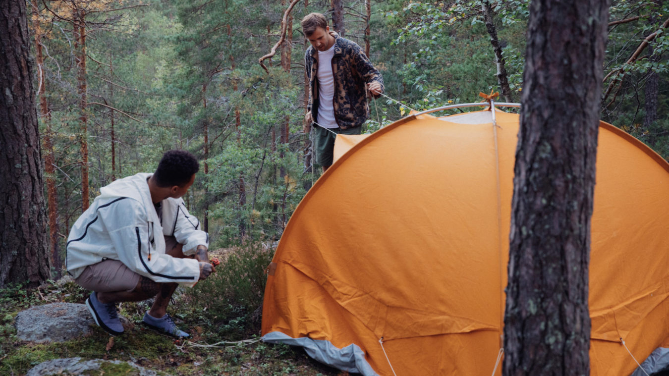 KANSISS21_Tarvas_8-1350x900